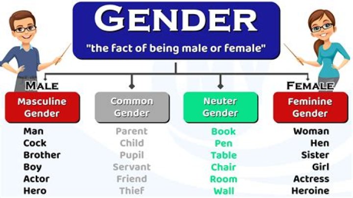 What is the gender of Frisk?