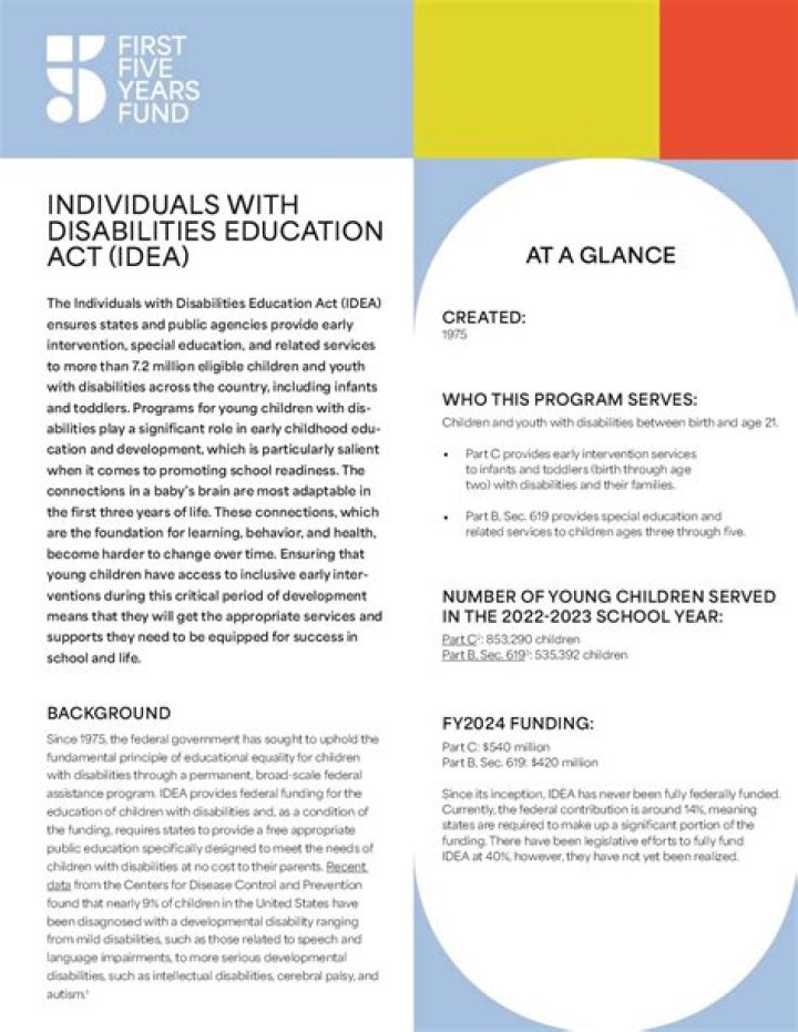 What is the idea Act of 2004?