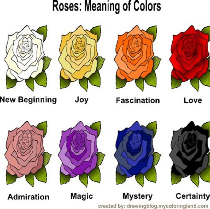 What is the meaning of 99 red roses?