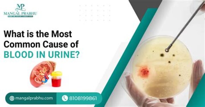 What is the most common cause of blood in urine?