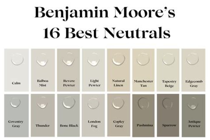 What is the most popular Benjamin Moore GREY color?