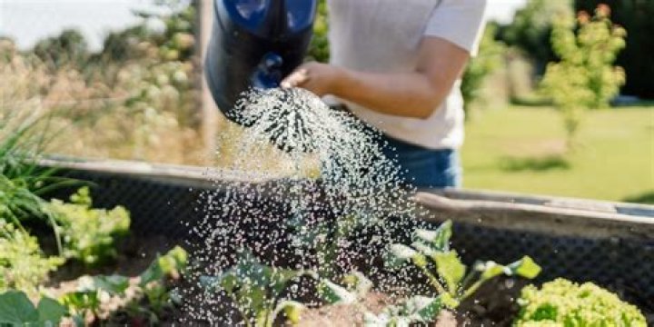 What is the no-dig method?