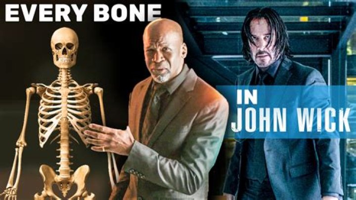 What is the only bone in your head that can move?