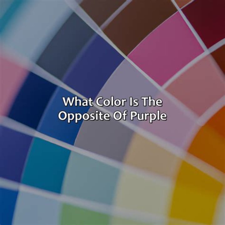 What is the opposite of Tenet?