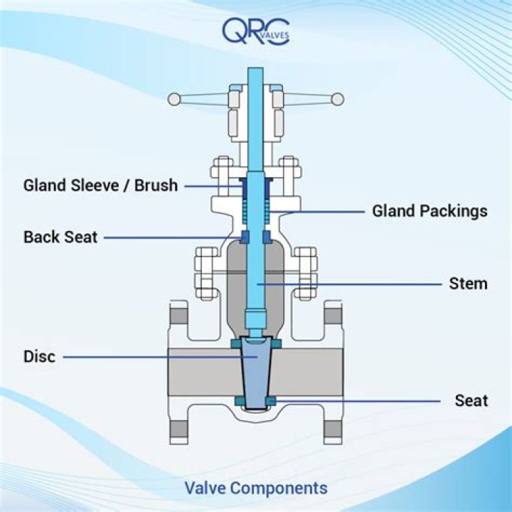 What is the purpose of a backseat on a gate valve?