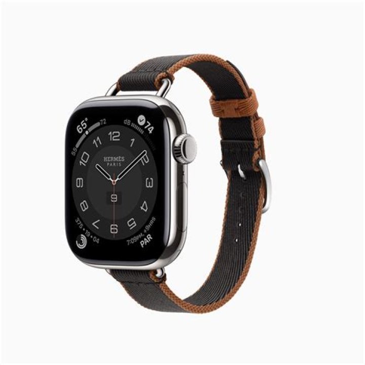 What is the red dot on my Apple Watch?