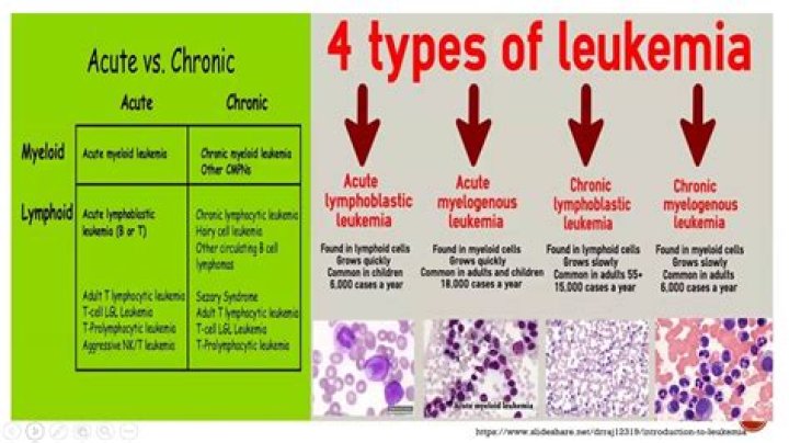 What is the remission rate for leukemia?