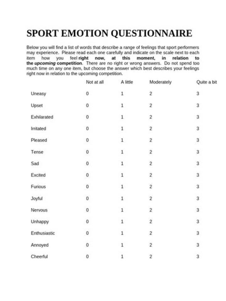 What is the sport emotion questionnaire?