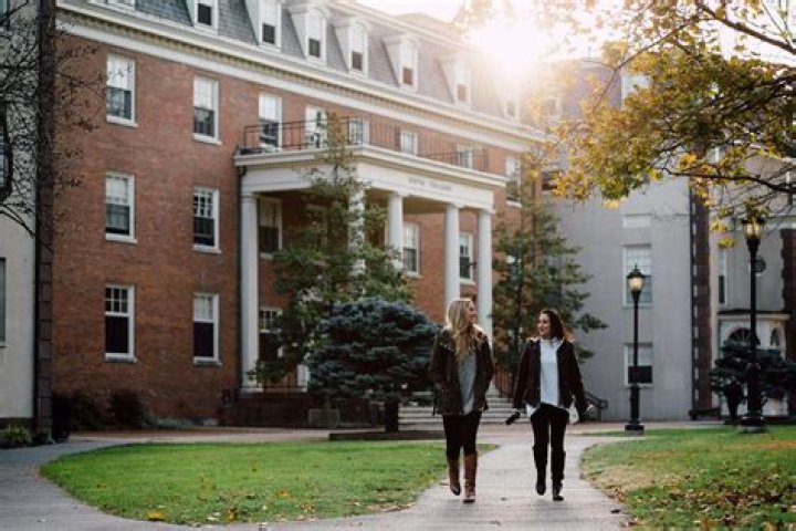 What is the stupidest college?