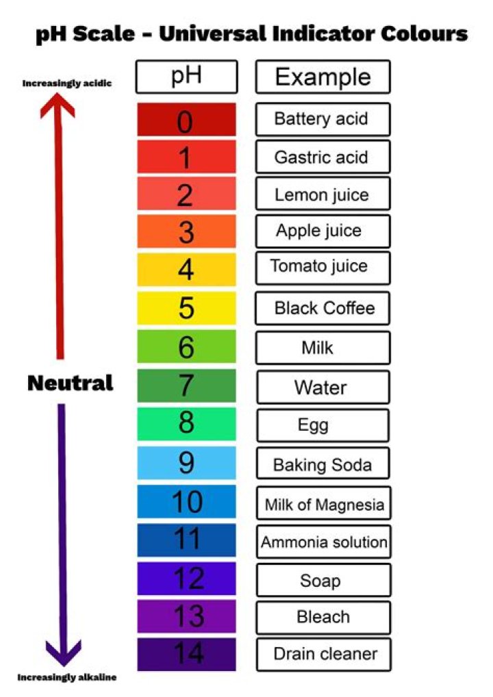 What is the Vento scale?