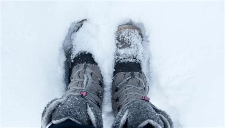 What is the warmest lining for boots?
