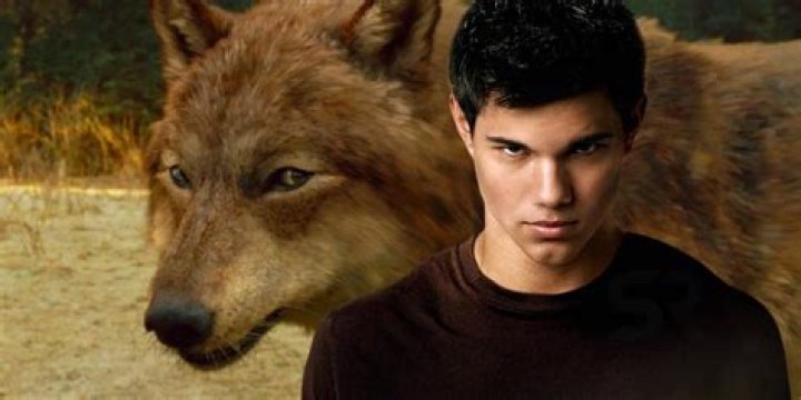 What is Wolf imprinting in Twilight?