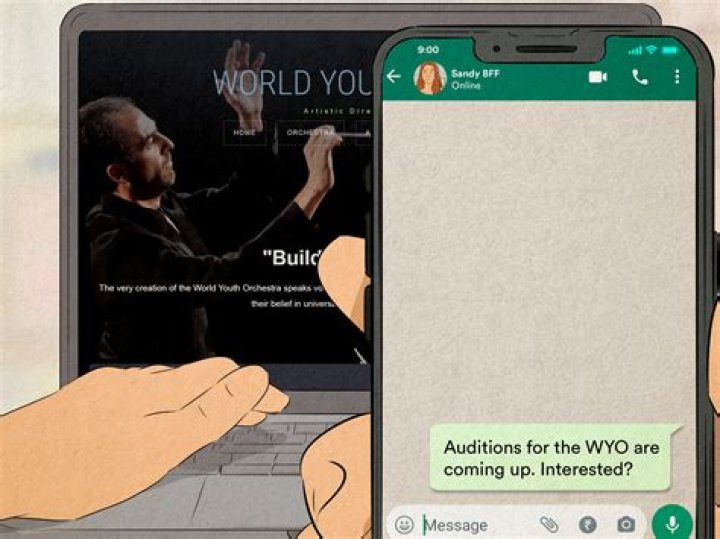 What is WYO in text?
