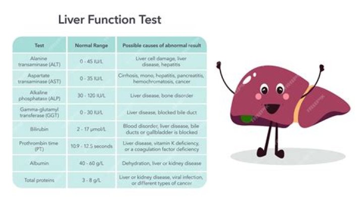 What is your liver count should be?