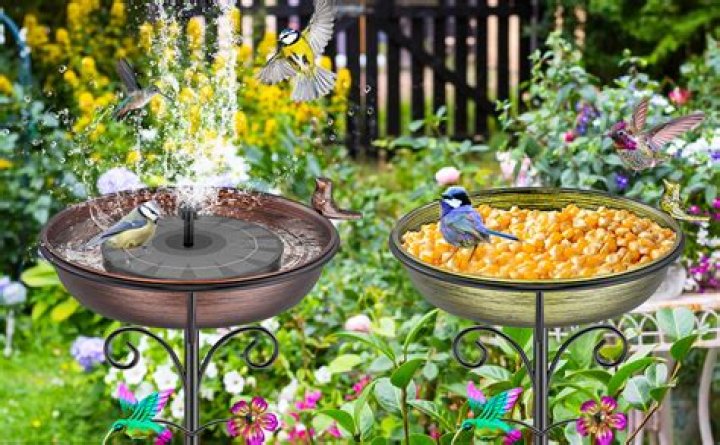 What kind of bird baths do birds prefer?