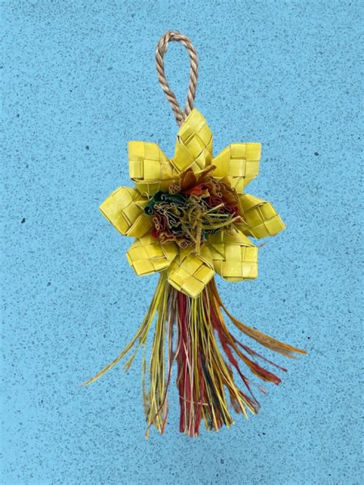 What kind of toys do parrots like?