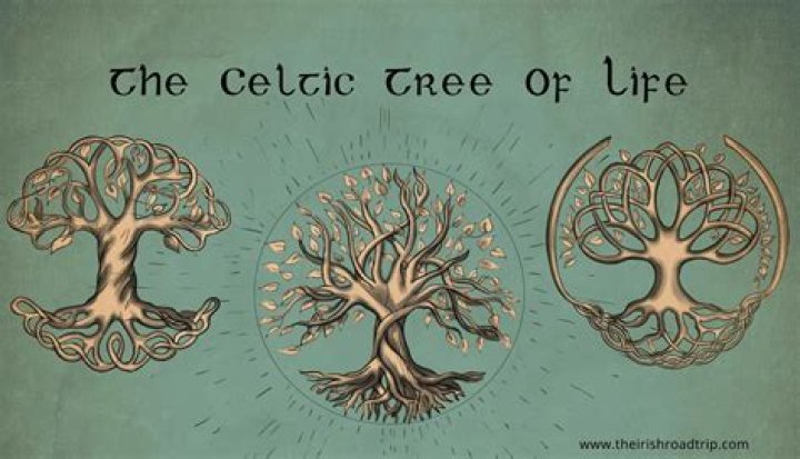 What kind of tree is the Celtic tree of life?