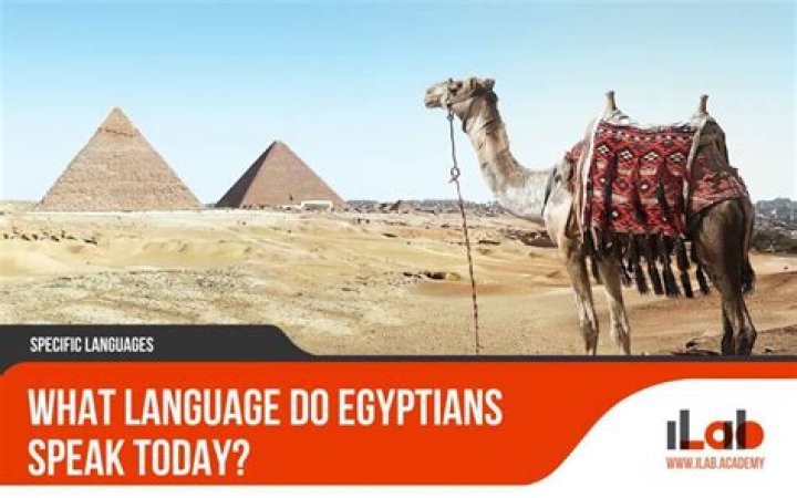 What language do Daleks speak?