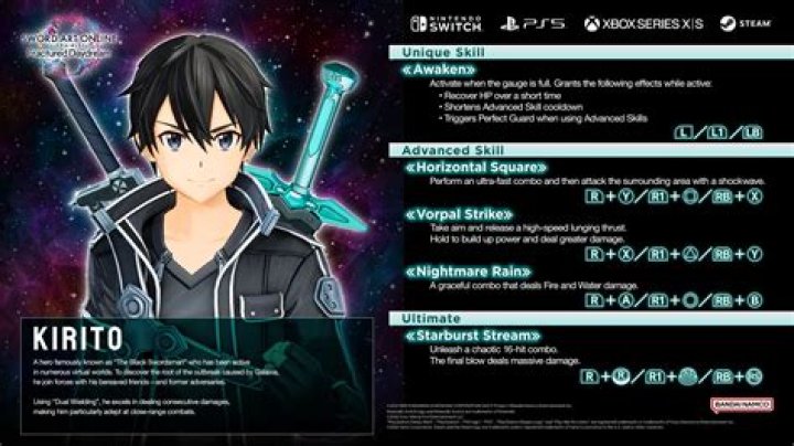 What level did Kirito reach in Sao?