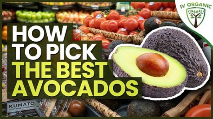 What month do you pick avocados?