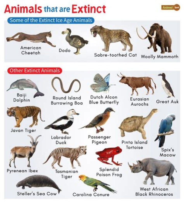 What names are becoming extinct?