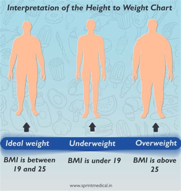 What part of the human body weighs the most?