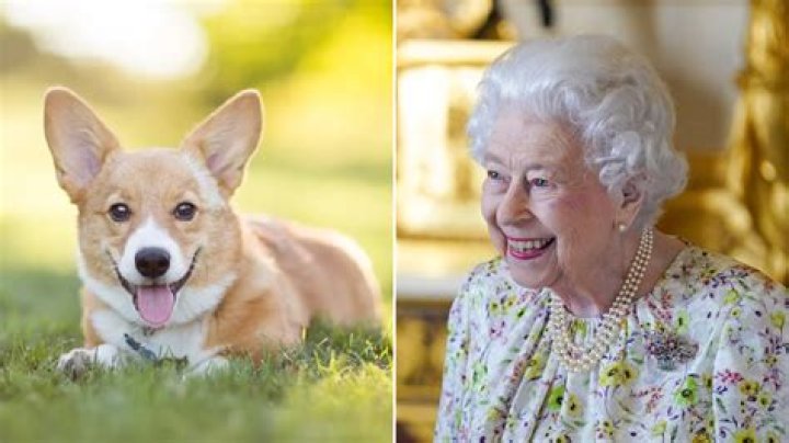 What pets does The Queen have?