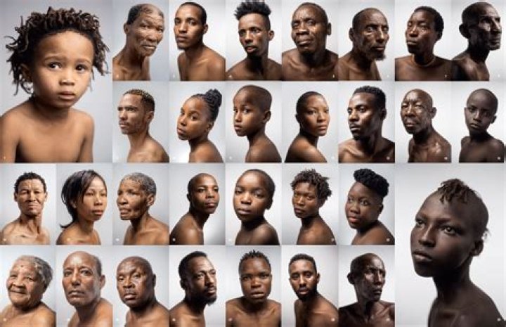 What race has the most artists?