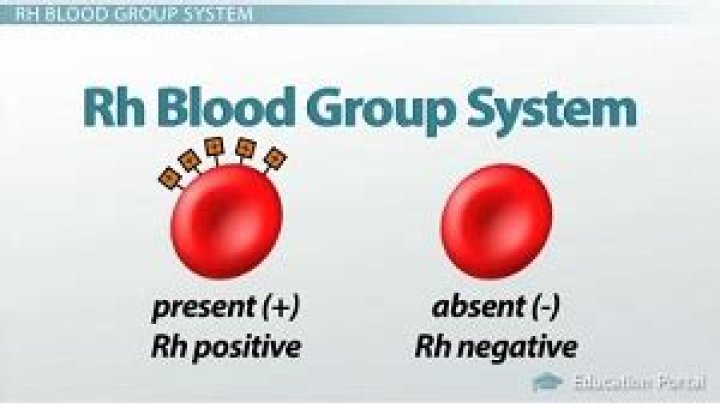 What race has the most Rh-negative blood?