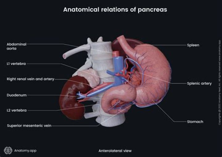 What side is pancreas pain felt?