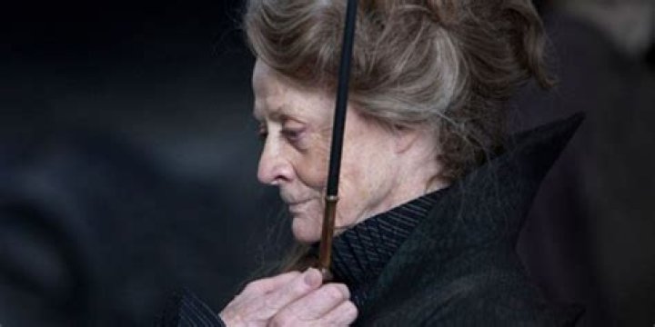 What spell did McGonagall use to protect Hogwarts?