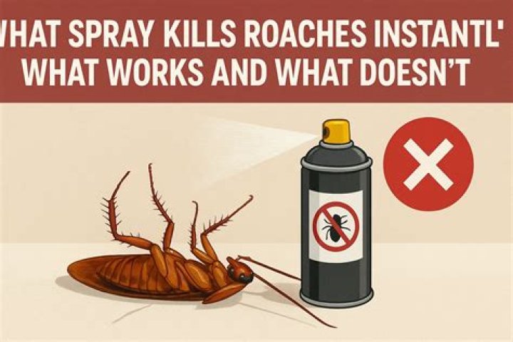 What spray kills roaches instantly?