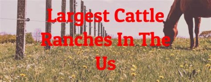What state has the largest cattle ranch?