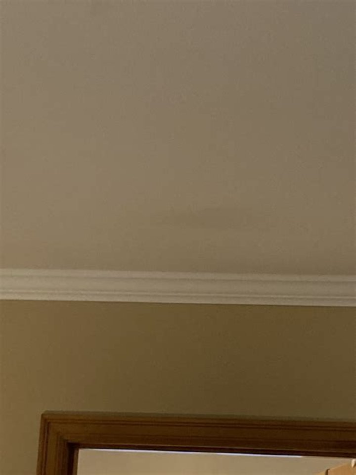 What to do if you think your house has mold?