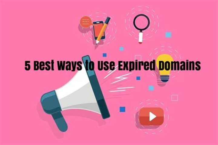 What to do with Expired Domains?