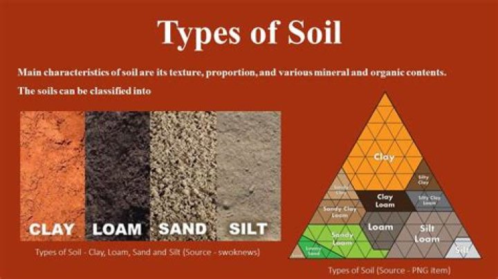 What type of soil do you find diamonds in?