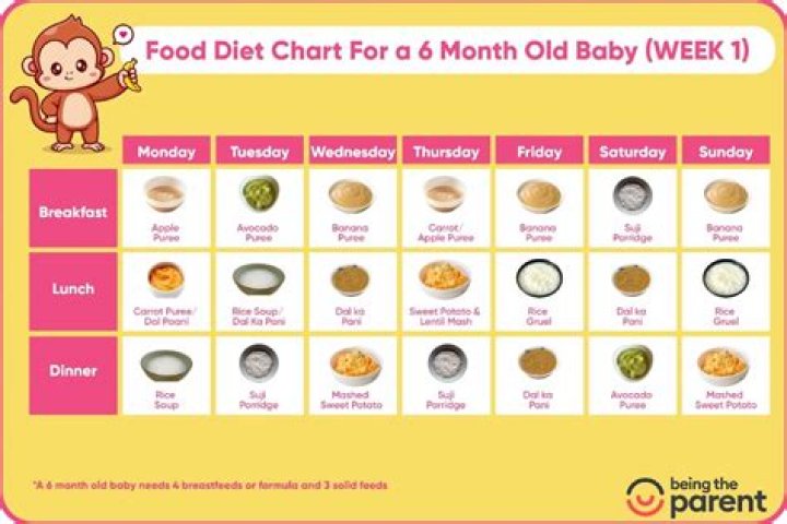 What vegetables can a 7 month old baby eat?