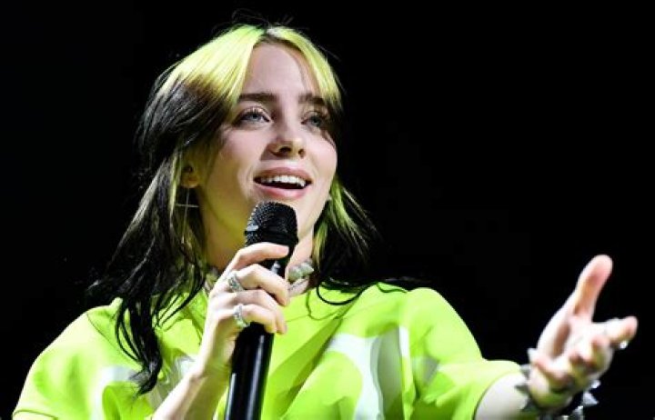 What was Billie Eilish's old TikTok user?