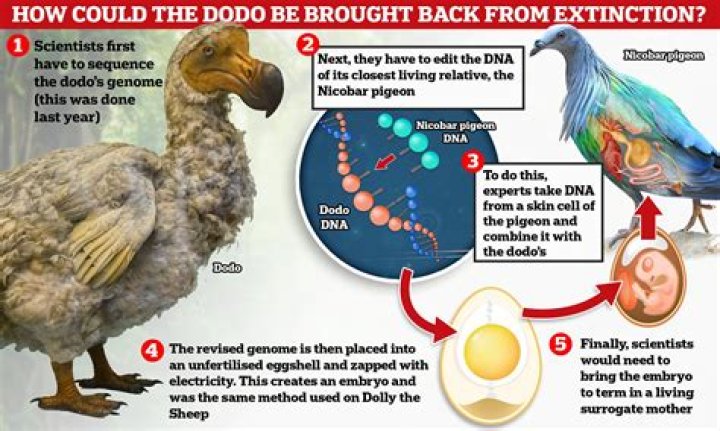 What was the first animal to go extinct?
