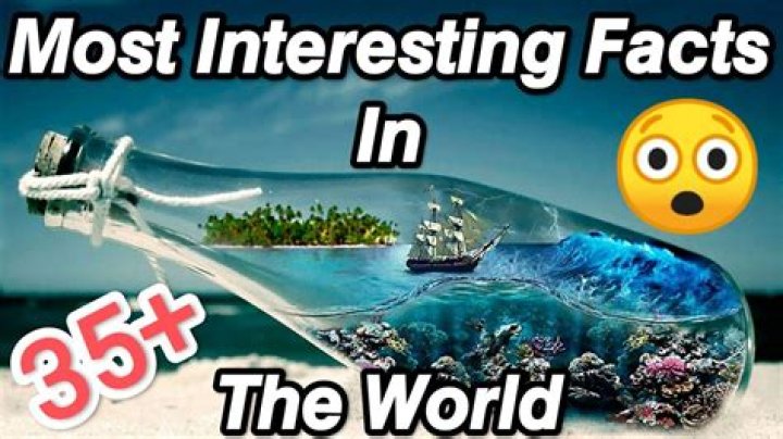 What was the most interesting war?