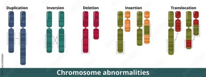 What Week Do miscarriages due to chromosomal abnormalities occur?