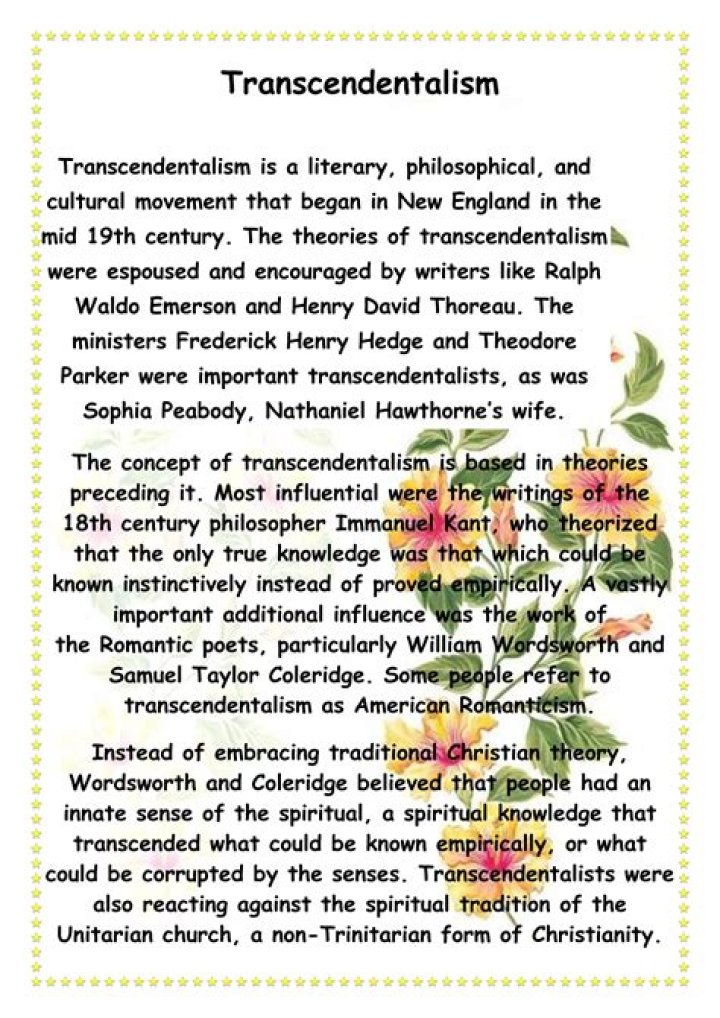 What were transcendentalists most concerned with?