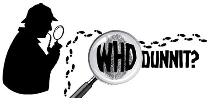 What whodunnit means?