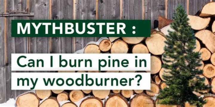 What wood can you burn UK?