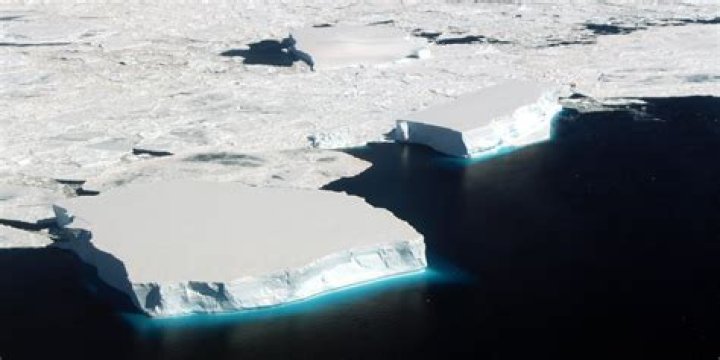 What would happen if Antarctica melted?
