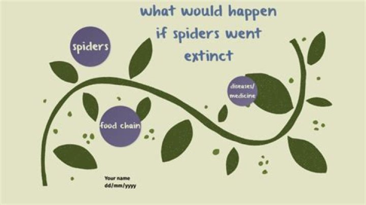 What would happen if spiders went extinct?