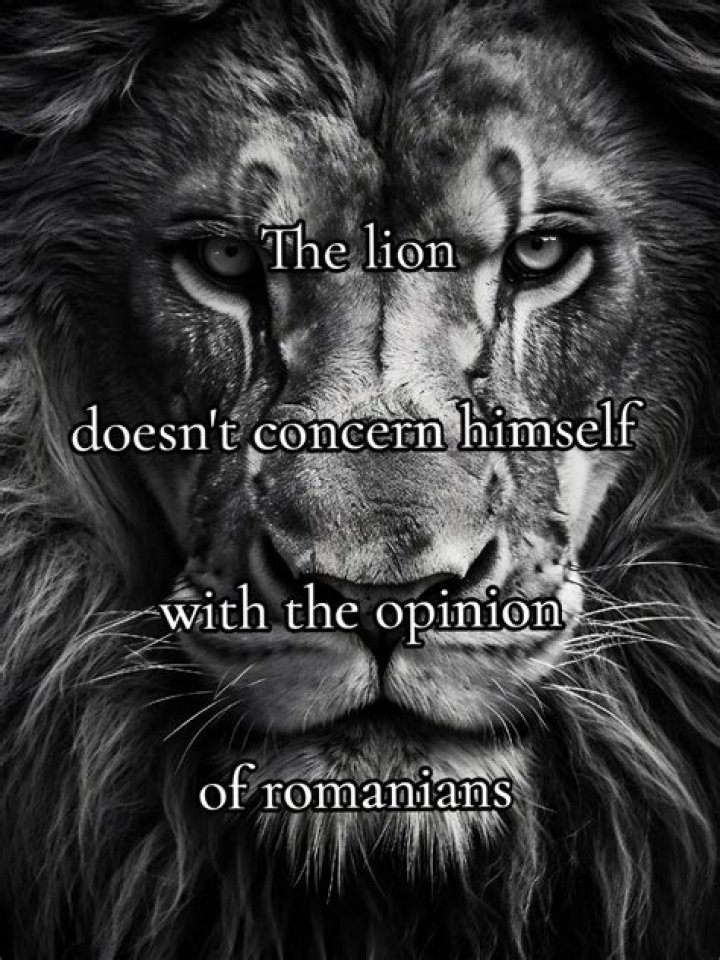 What Zeus thinks of himself?