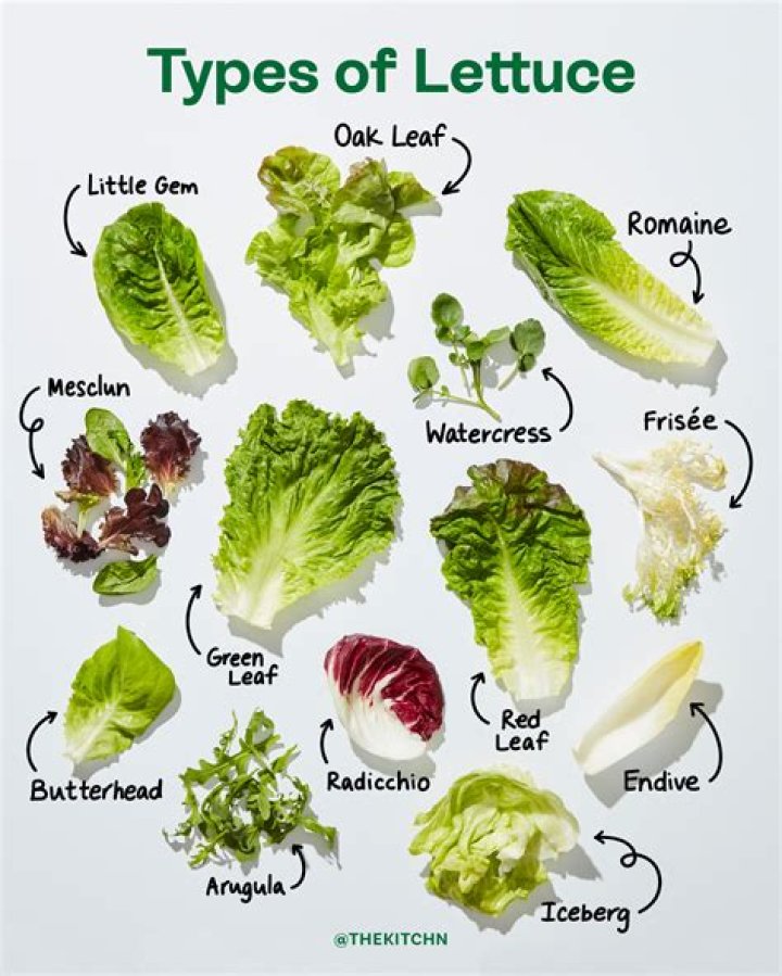 What's another name for Boston lettuce?