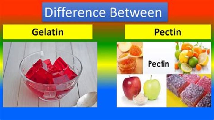 What's the difference between gelatin and gelatine?
