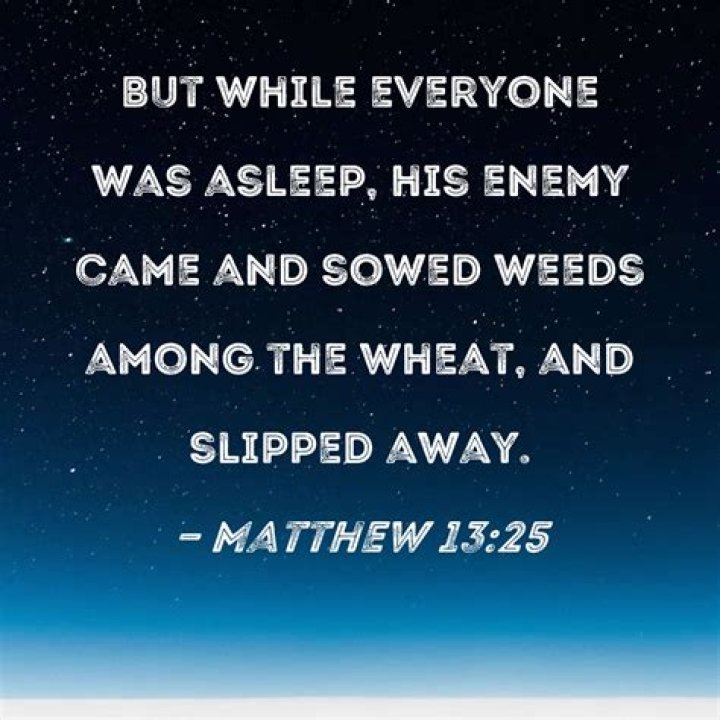 When a man slept his enemy came?